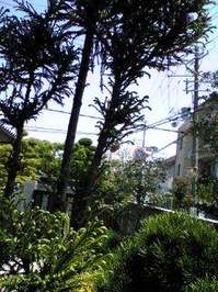 1150189975_16.jpgのサムネール画像